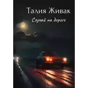 Постер книги Случай на дороге