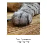 Постер книги Мур-мур-мур