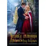 Постер книги Хозяйка гостиницы, или Драконам вход воспрещен!