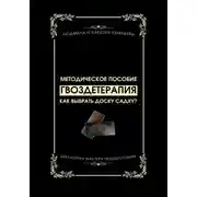 Постер книги Гвоздетерапия: Как выбрать доску Садху?