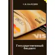 Постер книги Государственный бюджет