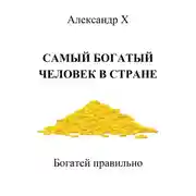 Постер книги Самый богатый человек в стране