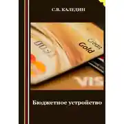 Постер книги Бюджетное устройство