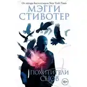 Постер книги Похитители снов
