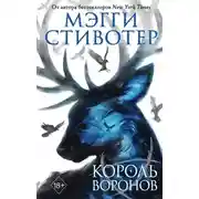 Постер книги Король воронов