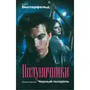 Постер книги Чёрный полдень