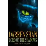 Постер книги Властелин теней