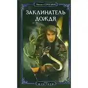 Постер книги Заклинатель дождя