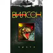 Постер книги Врата