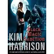 Постер книги Санкция на черную магию