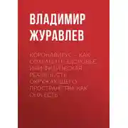 Постер книги Коронавирус – как сохранить здоровье, или Физическая реальность окружающего пространства как она есть