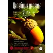 Постер книги Целебные деревья Руси