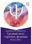 Сергей Перегуда - Средний мозг: строение и функции