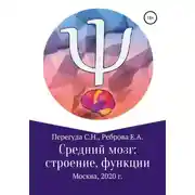 Постер книги Средний мозг: строение и функции