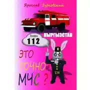 Постер книги Это точно МЧС? Кыргызстан