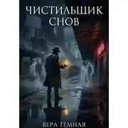 Постер книги Чистильщик снов