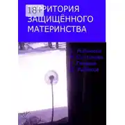 Постер книги Территория защищённого материнства