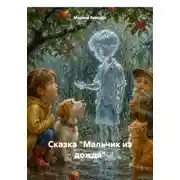 Постер книги Сказка "Мальчик из дождя"