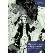 Постер книги Путешествие внутрь иглы. Новые (конструктивные) баллады