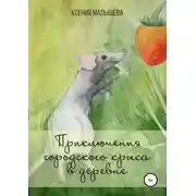 Постер книги Приключения городского крыса в деревне