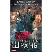 Постер книги Латая старые шрамы