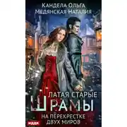 Постер книги Латая старые шрамы. На перекрестке миров
