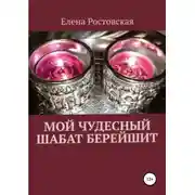 Постер книги Мой чудесный шабат Берейшит