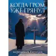 Постер книги Когда гром уже грянул