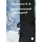 Постер книги Экстремальный выходной