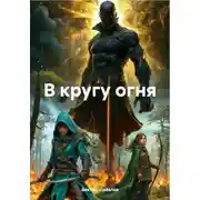 Постер книги В кругу огня
