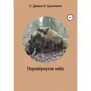 Постер книги Перевернутое небо