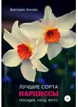 Виктория Зонова - Нарциссы. Лучшие сорта