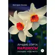 Постер книги Нарциссы. Лучшие сорта