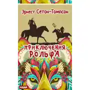 Постер книги Приключения Рольфа