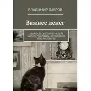 Постер книги Важнее денег. Ценность, которую нельзя купить, удержать, остановить или растянуть