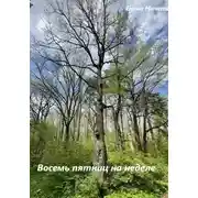 Постер книги Восемь пятниц на неделе