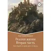 Постер книги Реалии жизни. Вторая часть. Путь борьбы за право жить по закону