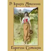 Постер книги В краях Амшена