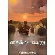 Постер книги Случайная поездка