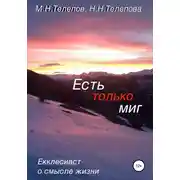 Постер книги Есть только миг
