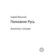 Постер книги Полковник Русь
