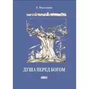 Постер книги Душа перед Богом
