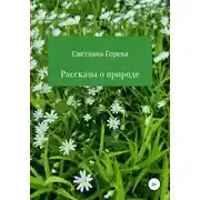 Постер книги Рассказы о природе