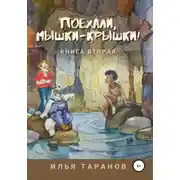 Постер книги Поехали, мышки-крышки! Книга вторая
