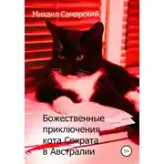 Постер книги Божественные приключения кота Сократа в Австралии