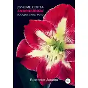 Постер книги Амариллисы. Лучшие сорта