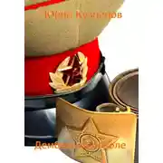 Постер книги Дембель поневоле