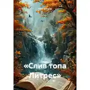 Постер книги «Слив топа Литрес»