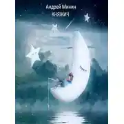 Постер книги Княжич