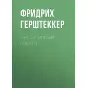Постер книги Миссисипские пираты